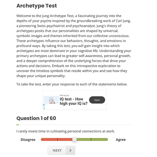 The test itself asked several questions about who I am as a person and worked as a self-assessment to determine the characteristics I have.